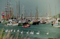 /album/fotos/sail-5-small-jpg/